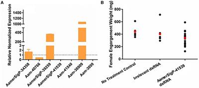 Repurposing of Glycine-Rich Proteins in Abiotic and Biotic Stresses in the Lone-Star Tick (Amblyomma americanum)